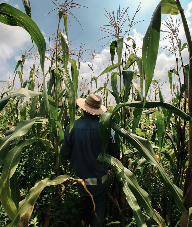 Campo y producción animal atendidos por Agronext